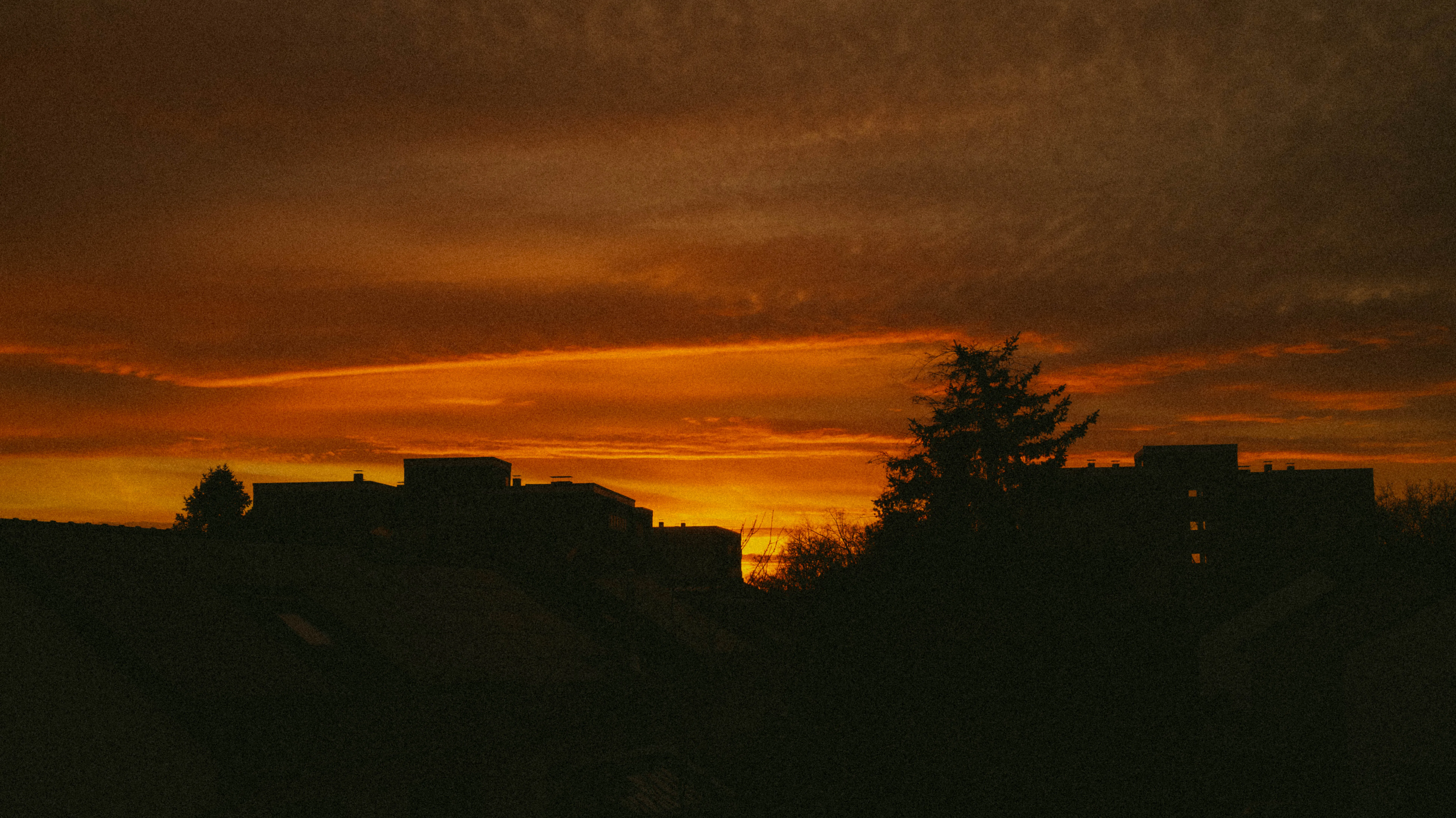 Color image 6