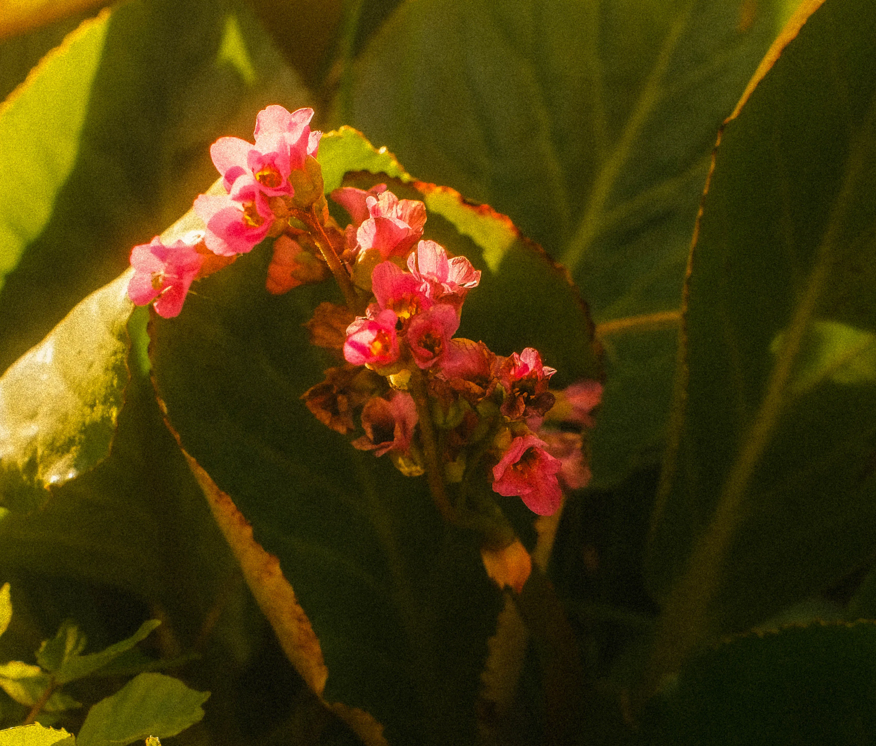 Color image 8