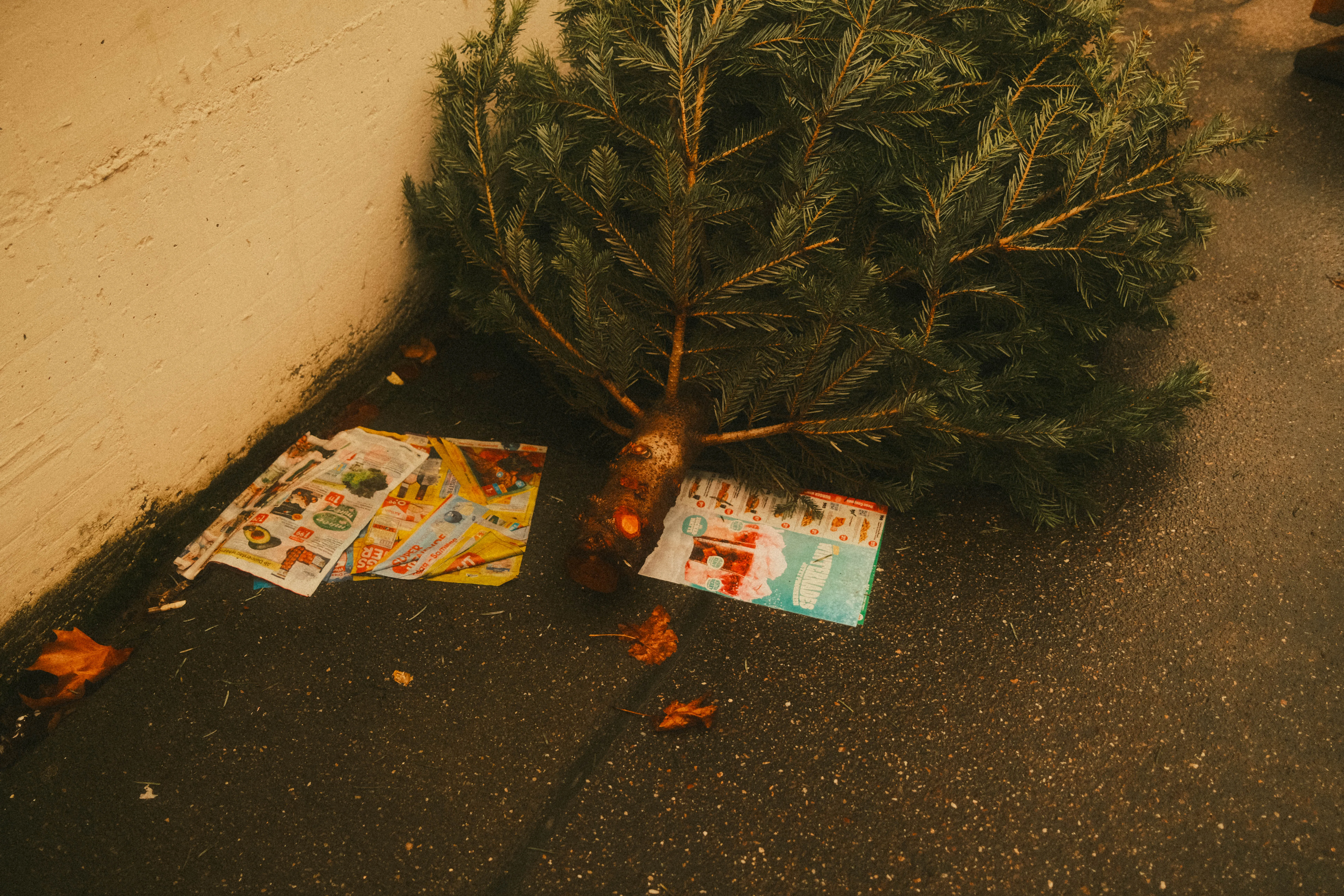 Street image 10