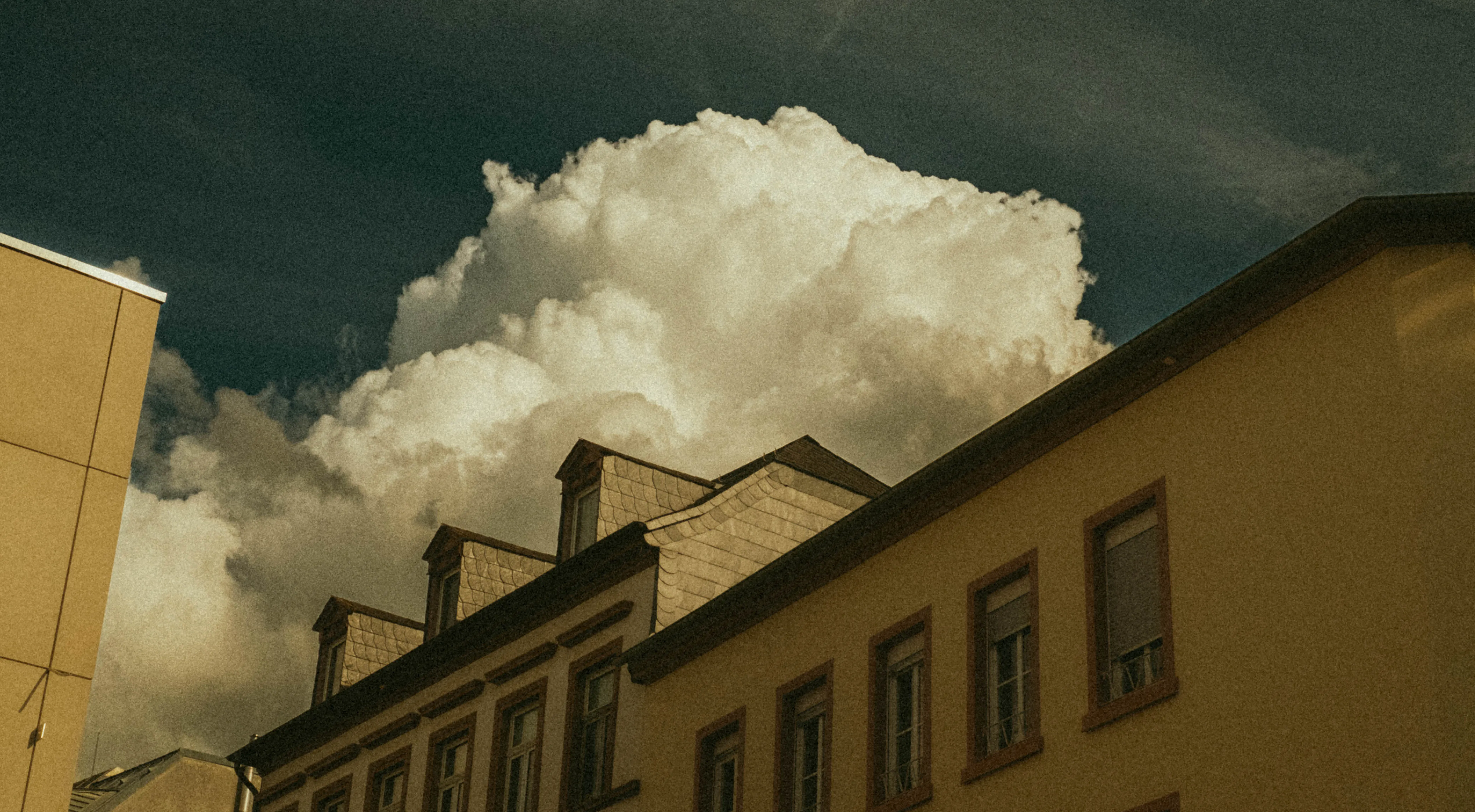 Color image 13