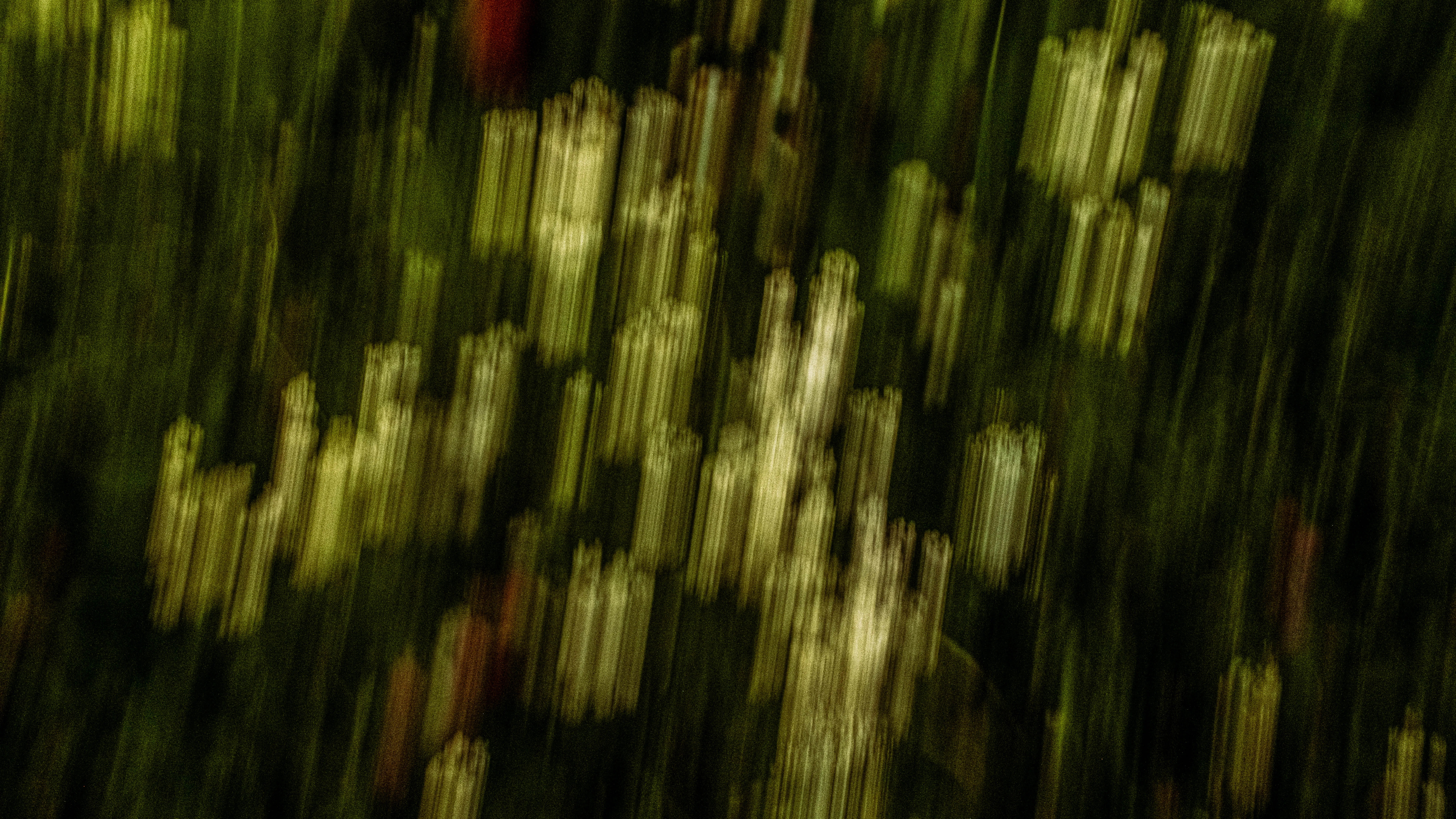 Color image 16
